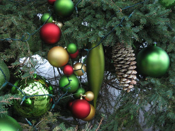 Ottawa.xmas.tree.jpg